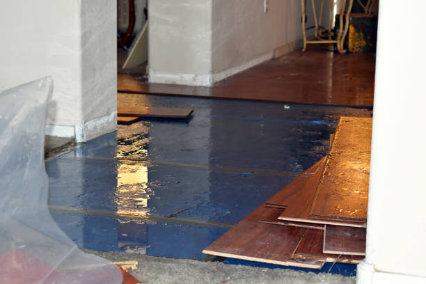 Professional Basement Water Removal technician working in Worthington, OH